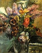 Tulpen